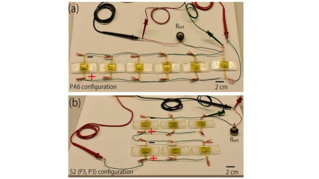 Various configurations of the algae-powered power cell were tested by the researchers.